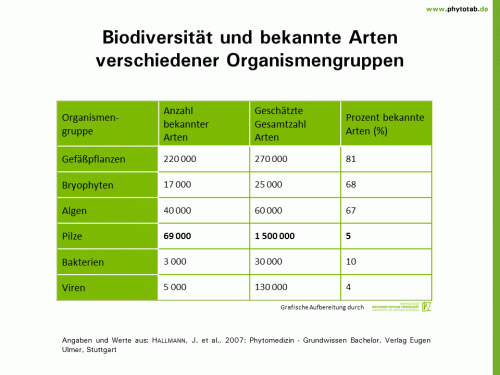 Biodiversität und bekannte Arten verschiedener Organismengruppen - Bakterien, Pilze, Viren - Bakterien, Biodiversität, Pilze, Viren