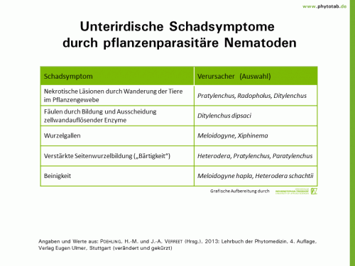Unterirdische Schadsymptome durch pflanzenparasitäre Nematoden - Nematoden, Symptomatik/Diagnostik - Nematoden, Symptomatik/Diagnostik