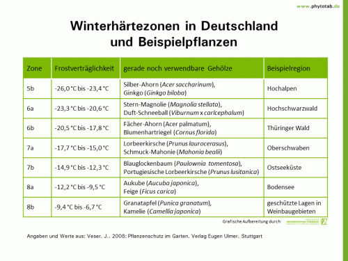 Winterhärtezonen in Deutschland und Beispielpflanzen - Abiotische Schadursachen  - Abiotische Schadursachen, Winterhärte