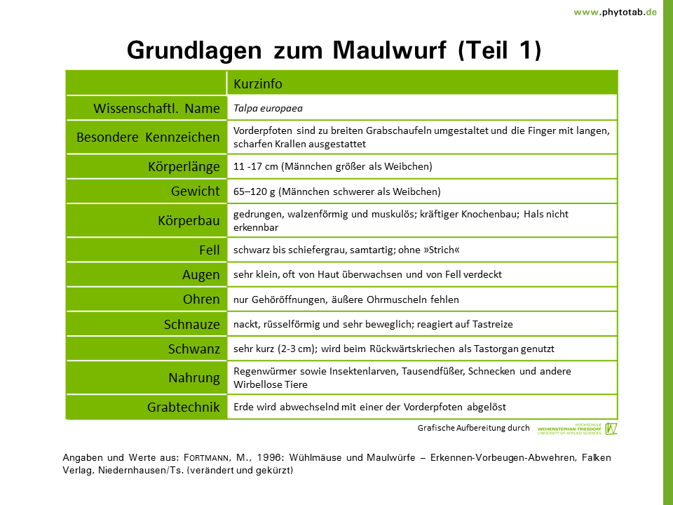 egutachten.de