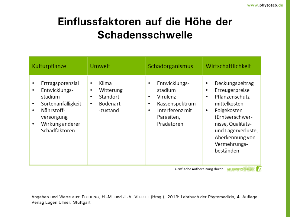 geld im mittelalter