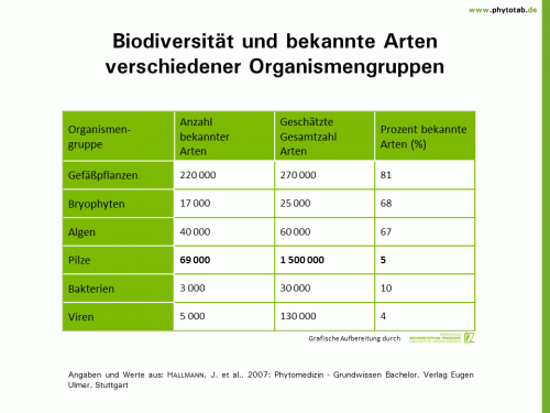 Bild anklicken (=groß), dann mit rechter Maustaste kopieren und direkt formatfüllend in Power Point einfügen Biodiversität und bekannte Arten verschiedener Organismengruppen - Bakterien, Pilze, Viren - Bakterien, Biodiversität, Pilze, Viren