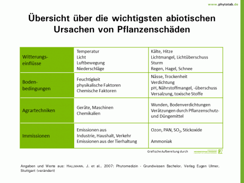 Übersicht über die wichtigsten abiotischen Ursachen von Pflanzenschäden - Abiotische Schadursachen  - Abiotische Schadursachen