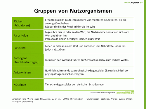 Gruppen von Nutzorganismen - Biologischer Pflanzenschutz - Antagonisten, Begriffe, Biologscher Pflanzenschutz, Nützlinge, Parasiten, Parasitoide, Pathogene, Pflanzenschutz, Prädatoren