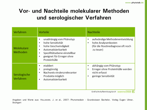 Vor- und Nachteile molekulsarer Methoden und serologischer Verfahren - Symptomatik/Diagnostik - Diagnose, Symptomatik/Diagnostik