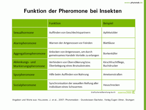 Funktion der Pheromone bei Insekten - Arthropoden - Arthropoden, Insekten, Pheromone