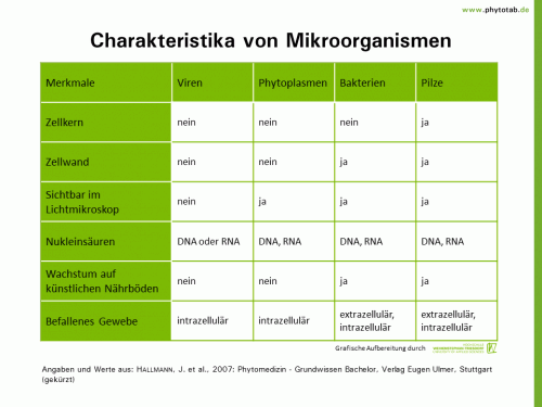 Charakteristika von Mikroorganismen - Bakterien, Pilze, Viren - Bakterien, Mikroorganismen, Phytoplasmen, Pilze, Viren