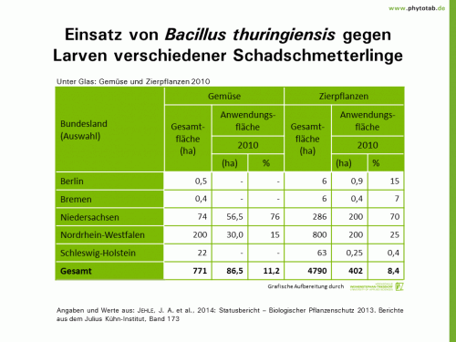 Bild anklicken (=groß), dann mit rechter Maustaste kopieren und direkt formatfüllend in Power Point einfügen Einsatz von Bacillus thuringiensis gegen Larven verschiedener Schadschmetterlinge - Biologischer Pflanzenschutz, Pflanzenschutz - Bacillus thuringiensis, Biologscher Pflanzenschutz, Pflanzenschutz