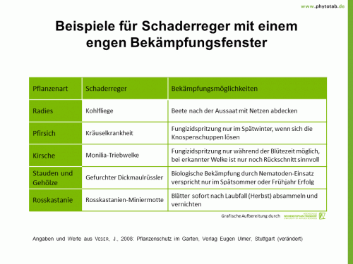 Beispiele für Schaderreger mit einem engen Bekämpfungsfenster - Arthropoden, Integrierter Pflanzenschutz, Pflanzenschutz, Pilze - Bekämpfung, Integrierter Pflanzenschutz, Pflanzenschutz, Zeitpunkt