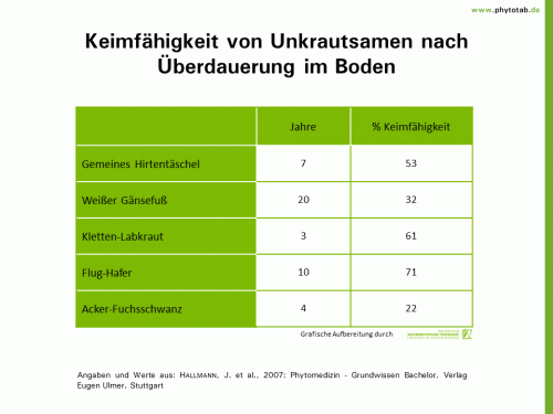 Bild anklicken (=groß), dann mit rechter Maustaste kopieren und direkt formatfüllend in Power Point einfügen Keimfähigkeit von Unkrautsamen nach Überdauerung im Boden - Unkräuter - Keimfähigkeit, Unkräuter