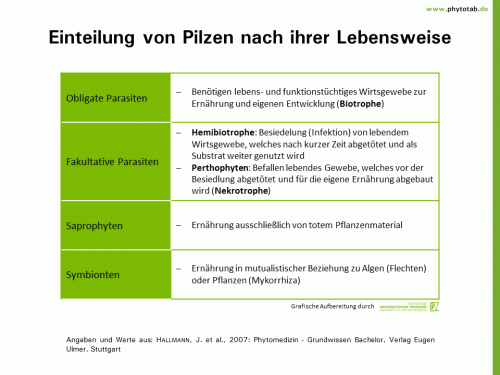 Einteilung von Pilzen nach ihrer Lebensweise - Pilze, Wirt-Parasit-Beziehungen - Lebensweise, Parasiten, Pilze, Saprophyten, Wirt-Parasit-Beziehungen