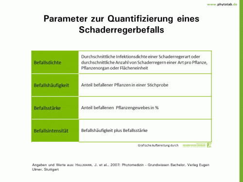 Parameter zur Quantifizierung eines Schaderregerbefalls - Epidemiologie/Populationsdynamik  - Befallsdichte, Befallshäufigkeit, Befallsintensität, Befallsstärke, Epidemiologie/Populationsdynamik