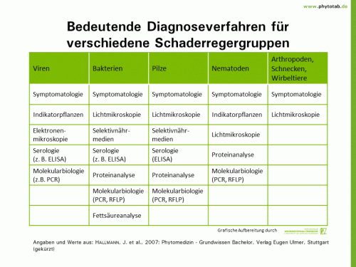 Bild anklicken (=groß), dann mit rechter Maustaste kopieren und direkt formatfüllend in Power Point einfügen Bedeutende Diagnoseverfahren für verschiedene Schaderregergruppen - Symptomatik/Diagnostik - Diagnose, ELISA, Nachweisverfahren, PCR, RFLP, Symptomatik/Diagnostik