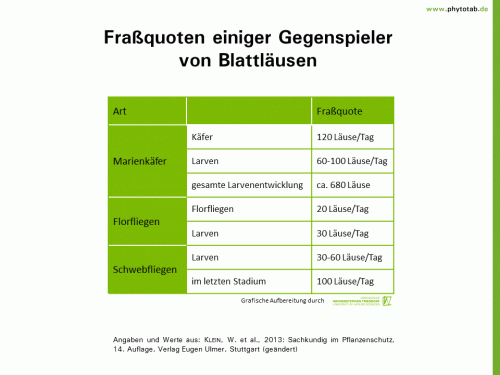 Fraßquoten einiger Gegenspieler von Blattläusen - Biologischer Pflanzenschutz, Pflanzenschutz - Blattläuse, Nützlinge, Pflanzenschutz