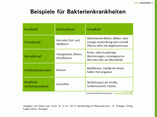 Beispiele für Bakterienkrankheiten - Bakterien, Symptomatik/Diagnostik - Bakterien, Symptomatik/Diagnostik