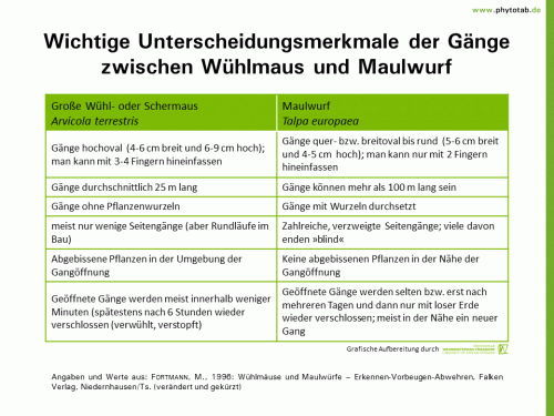 Wichtige Unterscheidungsmerkmale der Gänge zwischen Wühlmaus und Maulwurf - Wirbeltiere - Gangsystem, Maulwurf, Wirbeltiere, Wühlmaus