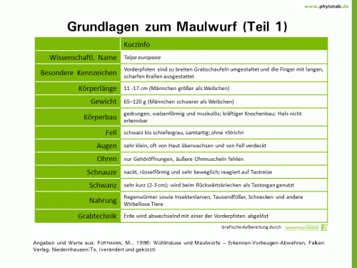 Bild anklicken (=groß), dann mit rechter Maustaste kopieren und direkt formatfüllend in Power Point einfügen Grundlagen zum Maulwurf (Teil 1) - Wirbeltiere - Maulwurf, Wirbeltiere