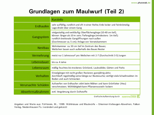 Grundlagen zum Maulwurf (Teil 2) - Wirbeltiere - Maulwurf, Wirbeltiere