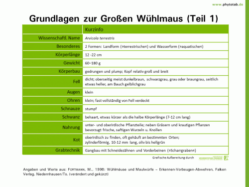 Bild anklicken (=groß), dann mit rechter Maustaste kopieren und direkt formatfüllend in Power Point einfügen Grundlagen zur Großen Wühlmaus (Teil 1) - Wirbeltiere - Wirbeltiere, Wühlmaus