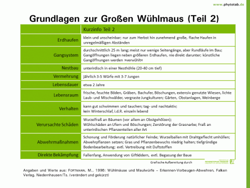 Bild anklicken (=groß), dann mit rechter Maustaste kopieren und direkt formatfüllend in Power Point einfügen Grundlagen zur Großen Wühlmaus (Teil 2) - Wirbeltiere - Wirbeltiere, Wühlmaus