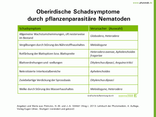 Bild anklicken (=groß), dann mit rechter Maustaste kopieren und direkt formatfüllend in Power Point einfügen Oberirdische Schadsymptome durch pflanzenparasitäre Nematoden - Nematoden, Symptomatik/Diagnostik - Nematoden, Symptomatik/Diagnostik
