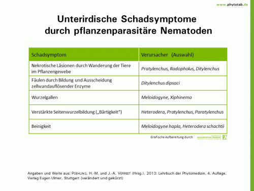 Bild anklicken (=groß), dann mit rechter Maustaste kopieren und direkt formatfüllend in Power Point einfügen Unterirdische Schadsymptome durch pflanzenparasitäre Nematoden - Nematoden, Symptomatik/Diagnostik - Nematoden, Symptomatik/Diagnostik