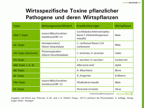 Wirtsspezifische Toxine pflanzlicher Pathogene und deren Wirtspflanzen - Pilze, Wirt-Parasit-Beziehungen - Pilze, Toxine, Wirt-Parasit-Beziehungen
