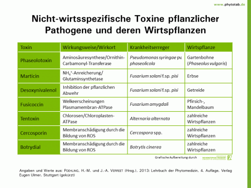 Nicht-wirtsspezifische Toxine pflanzlicher Pathogene und deren Wirtspflanzen - Bakterien, Pilze, Wirt-Parasit-Beziehungen - Bakterien, Pilze, Toxine, Wirt-Parasit-Beziehungen