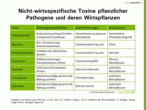 Bild anklicken (=groß), dann mit rechter Maustaste kopieren und direkt formatfüllend in Power Point einfügen Nicht-wirtsspezifische Toxine pflanzlicher Pathogene und deren Wirtspflanzen - Bakterien, Pilze, Wirt-Parasit-Beziehungen - Bakterien, Pilze, Toxine, Wirt-Parasit-Beziehungen