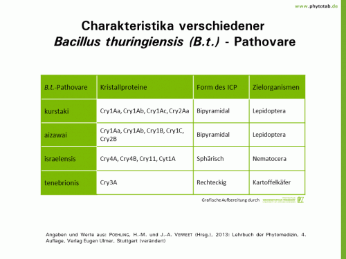 Charakteristika verschiedener Bacillus thuringiensis (B.t.) - Pathovare - Pflanzenschutz - Bacillus thuringiensis, Pflanzenschutz