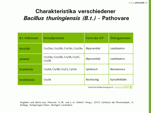 Bild anklicken (=groß), dann mit rechter Maustaste kopieren und direkt formatfüllend in Power Point einfügen Charakteristika verschiedener Bacillus thuringiensis (B.t.) - Pathovare - Pflanzenschutz - Bacillus thuringiensis, Pflanzenschutz