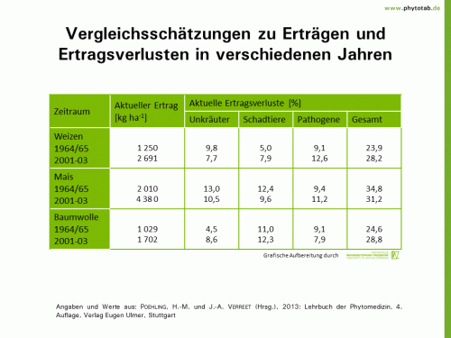 Vergleichsschätzungen zu Erträgen und Ertragsverlusten in verschiedenen Jahren - Historie/Bedeutung  - Ertragsverluste, Historie/Bedeutung