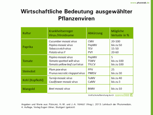 Wirtschaftliche Bedeutung ausgewählter Pflanzenviren - Historie/Bedeutung , Viren - Historie/Bedeutung, Viren