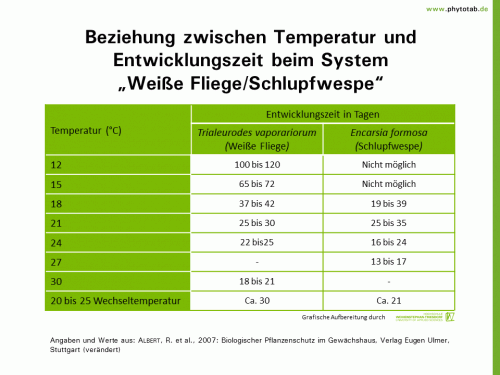 Bild anklicken (=groß), dann mit rechter Maustaste kopieren und direkt formatfüllend in Power Point einfügen Beziehung zwischen Temperatur und Entwicklungszeit beim System „Weiße Fliege/Schlupfwespe“ - Biologischer Pflanzenschutz, Pflanzenschutz - Biologscher Pflanzenschutz, Pflanzenschutz, Schlupfwespe, Weiße Fliege