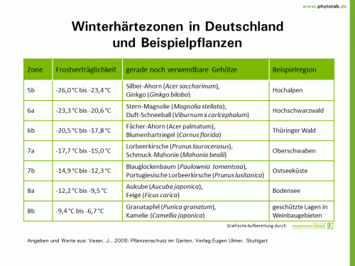 Bild anklicken (=groß), dann mit rechter Maustaste kopieren und direkt formatfüllend in Power Point einfügen Winterhärtezonen in Deutschland und Beispielpflanzen - Abiotische Schadursachen - Abiotische Schadursachen, Winterhärte