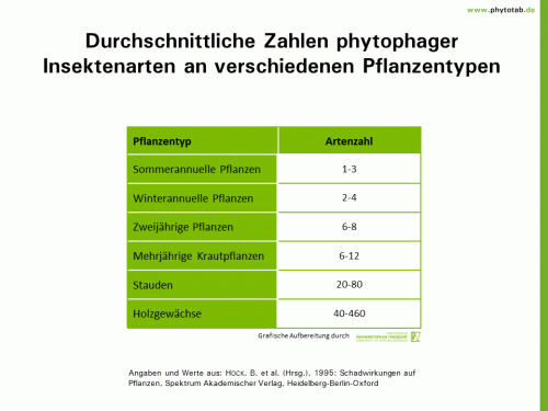 Bild anklicken (=groß), dann mit rechter Maustaste kopieren und direkt formatfüllend in Power Point einfügen Durchschnittliche Zahlen phytophager Insektenarten an verschiedenen Pflanzentypen - Arthropoden - Arthropoden