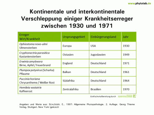 Bild anklicken (=groß), dann mit rechter Maustaste kopieren und direkt formatfüllend in Power Point einfügen Kontinentale und Interkontinentale Verschleppung einiger Krankheitserreger zwischen 1930 und 1971 - Epidemiologie/Populationsdynamik , Historie/Bedeutung - Epidemiologie/Populationsdynamik, Feuerbrand, Historie/Bedeutung, Ulmensterben, Verschleppung