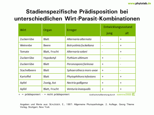 Stadienspezifische Prädisposition bei unterschiedlichen Wirt-Parasit-Kombinationen - Wirt-Parasit-Beziehungen - Pilze, Wirt-Parasit-Beziehungen