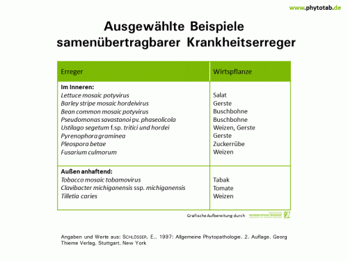 Bild anklicken (=groß), dann mit rechter Maustaste kopieren und direkt formatfüllend in Power Point einfügen Ausgewählte Beispiele samenübertragbarer Krankheitserreger - Bakterien, Epidemiologie/Populationsdynamik , Pilze, Viren - Bakterien, Epidemiologie/Populationsdynamik, Pilze, Samenübertragung, Viren