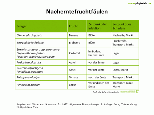 Nacherntefruchtfäulen - Bakterien, Pilze, Wirt-Parasit-Beziehungen - Bakterien, Fruchtfäulen, Nachernte, Pilze, Wirt-Parasit-Beziehungen