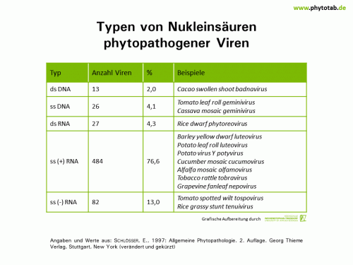 Typen von Nukleinsäuren phytopathogener Viren - Viren - Viren