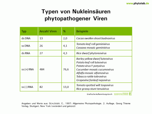 Bild anklicken (=groß), dann mit rechter Maustaste kopieren und direkt formatfüllend in Power Point einfügen Typen von Nukleinsäuren phytopathogener Viren - Viren - Viren
