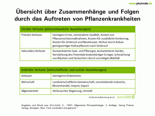 Übersicht über Zusammenhänge und Folgen durch das Auftreten von Pflanzenkrankheiten - Historie/Bedeutung  - Historie/Bedeutung, Verluste