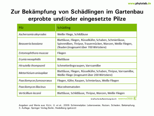 Zur Bekämpfung von Schädlingen im Gartenbau erprobte und/oder eingesetzte Pilze - Arthropoden, Biologischer Pflanzenschutz, Pflanzenschutz, Pilze - Arthropoden, Biologscher Pflanzenschutz, Pflanzenschutz, Pilze