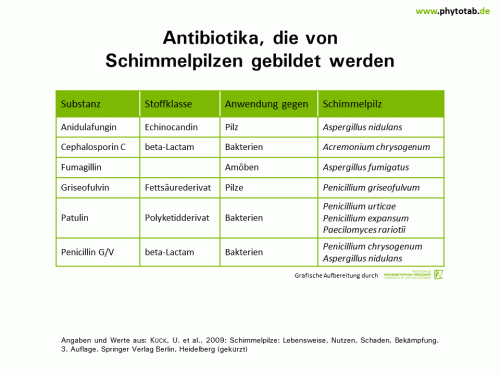 Antibiotika, die von Schimmelpilzen gebildet werden - Pilze - Pilze, Schimmelpilze
