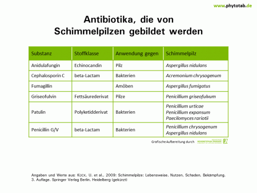 Bild anklicken (=groß), dann mit rechter Maustaste kopieren und direkt formatfüllend in Power Point einfügen Antibiotika, die von Schimmelpilzen gebildet werden - Pilze - Pilze, Schimmelpilze
