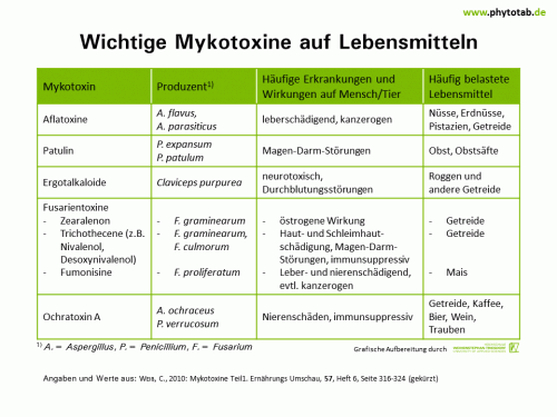 Wichtige Mykotoxine auf Lebensmitteln - Pilze - Mykotoxine, Pilze