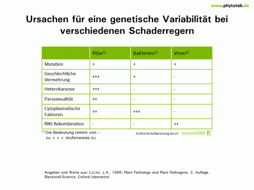Bild anklicken (=groß), dann mit rechter Maustaste kopieren und direkt formatfüllend in Power Point einfügen Ursachen für eine genetische Variabilität bei verschiedenen Schaderregern - Bakterien, Epidemiologie/Populationsdynamik , Pilze, Viren - Bakterien, Epidemiologie/Populationsdynamik, Mutation, Pilze, Viren