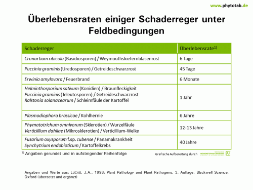 Bild anklicken (=groß), dann mit rechter Maustaste kopieren und direkt formatfüllend in Power Point einfügen Überlebensraten einiger Schaderreger unter Feldbedingungen - Bakterien, Epidemiologie/Populationsdynamik , Pilze - Bakterien, Dauerkörper, Epidemiologie/Populationsdynamik, Pilze