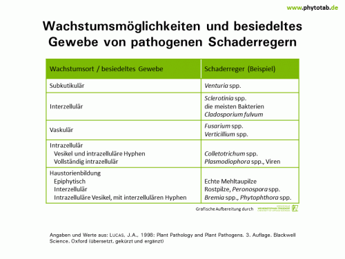 Wachstumsmöglichkeiten und besiedeltes Gewebe von pathogenen Schaderregern - Bakterien, Epidemiologie/Populationsdynamik , Pilze - Bakterien, Epidemiologie/Populationsdynamik, Pilze